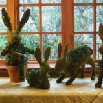 Bunnies