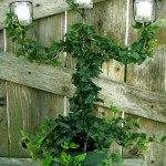 Candelabra