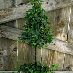 holiday_elevated_cone-759x1024