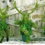 holiday_three_reindeer-300x201
