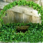 long_basket-300x249