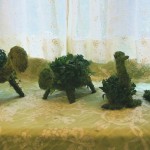 turtles_and_ducks-1024x565