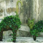 two_cats-300x198